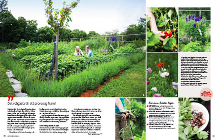 Trädgårds artikel i Allt om Trädgård nr 05 2012 - Karin och Ulf Lorin